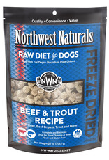 Northwest Naturals Northwest Naturals Raw Diet for Dogs Freeze Dried Nuggets  Beef & Trout Recipe