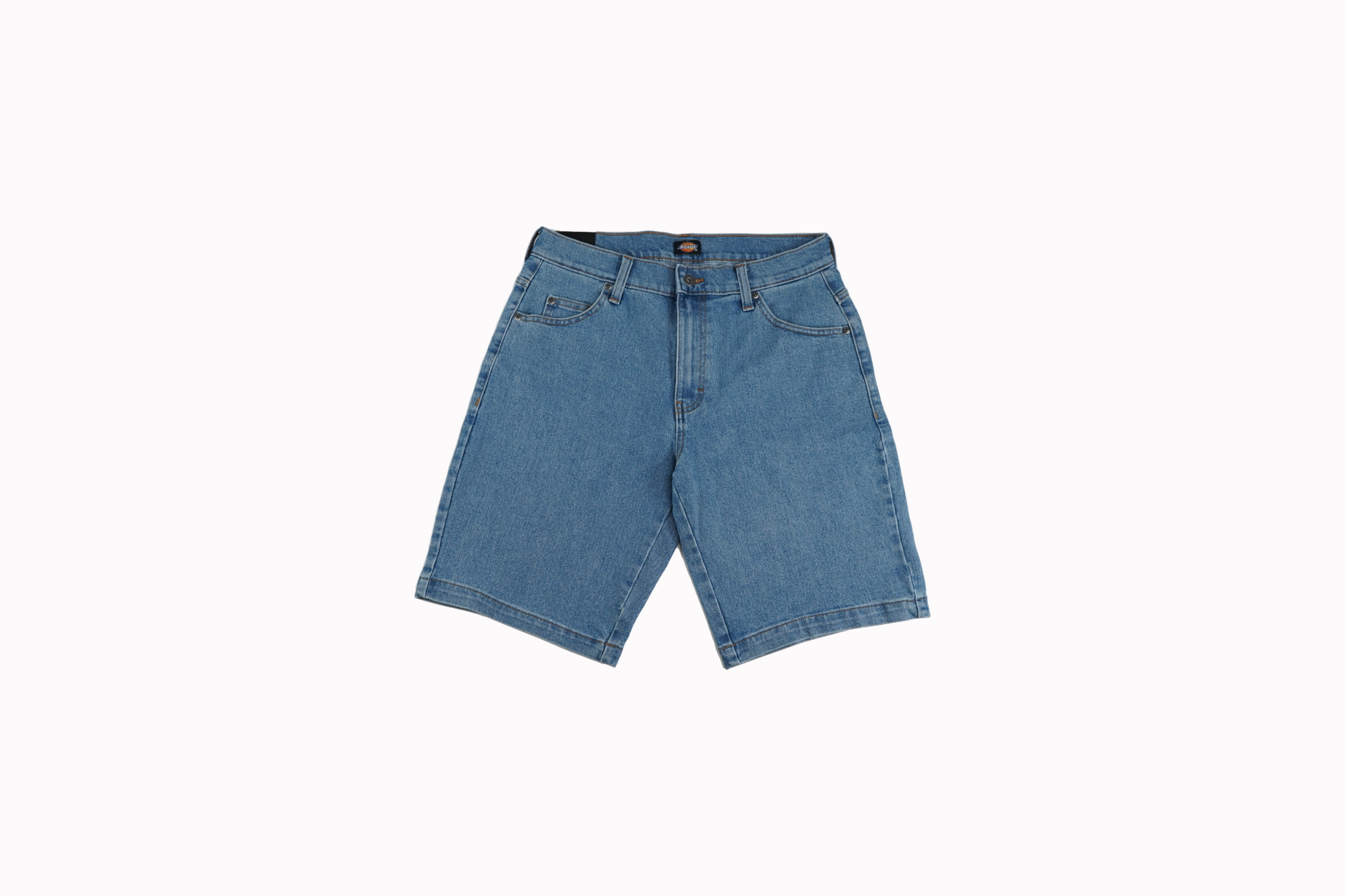 Dickies Skateboarding Wingville Loose Fit Shorts