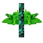 SEA STIX SEA STIX DISPOSABLE 1.2 ML 50 MG