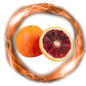 SINBAD SPECTRUM - ORANGE