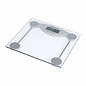 SCALES GS-150