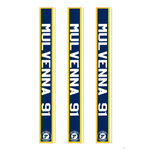 TGP Team Sales AAA Blues Hockey Stick Stickers (3 Pack)