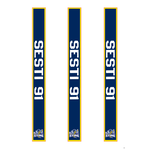 TGP Team Sales St. Louis Sting Hockey Stick Stickers (3 Pack)