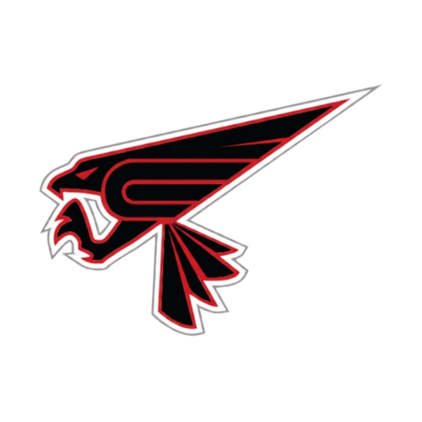 TGP Team Sales Chesterfield Car Decal