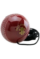 GRAY NICOLLS CRICKET BALL GRAY NICOLLS BATTING MASTER