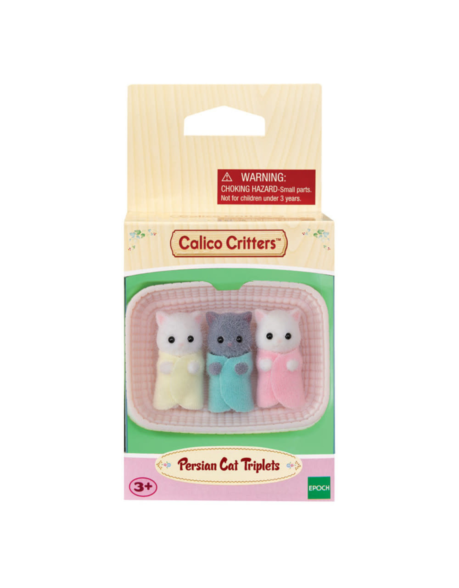 Persian Cat Triplets