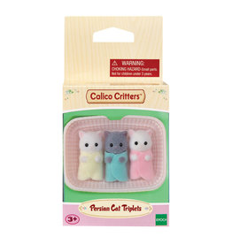 Persian Cat Triplets