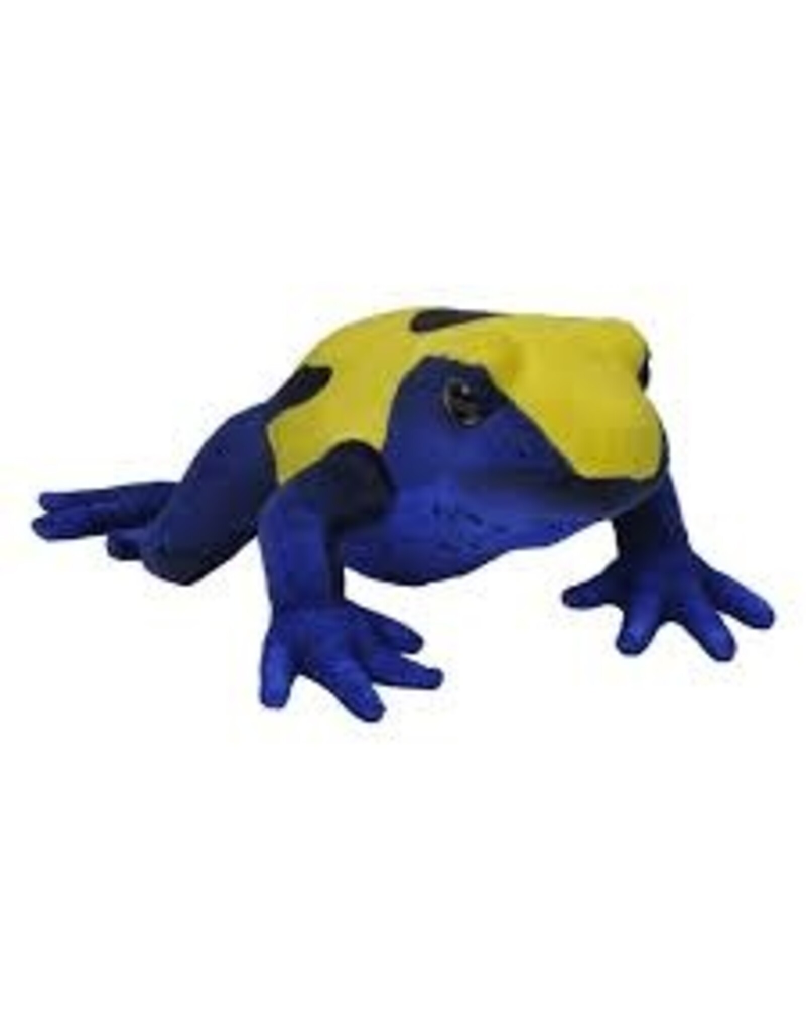 CK CITRONELLA DART FROG