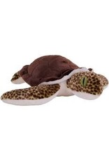 CK SEA TURTLE GREEN