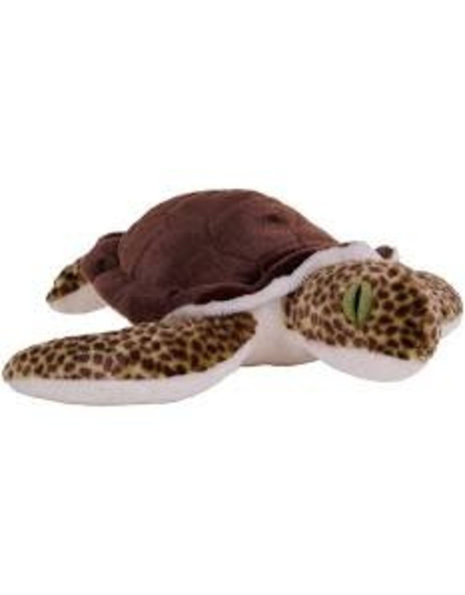 CK SEA TURTLE GREEN