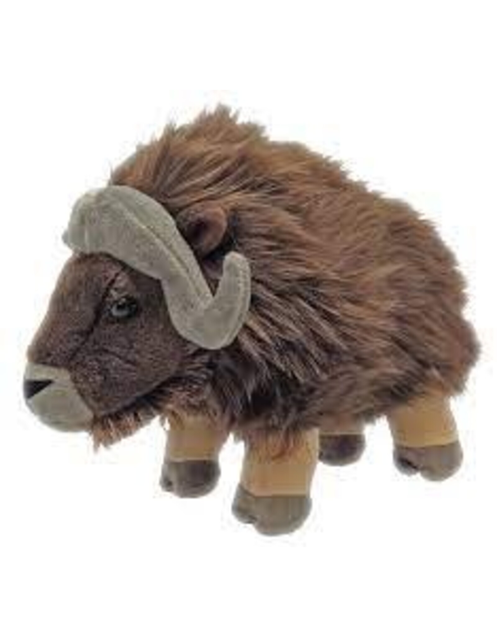 CK MUSK OX