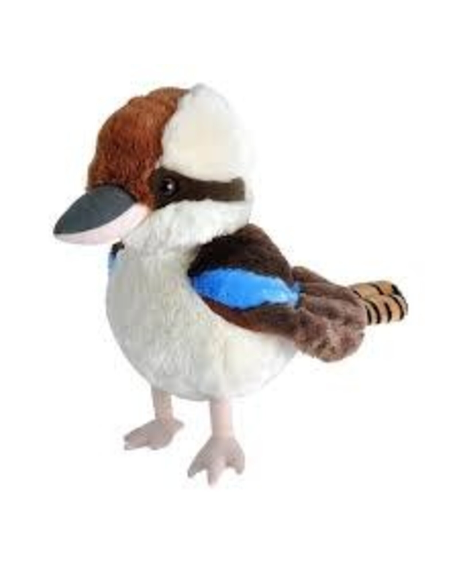 CK KOOKABURRA