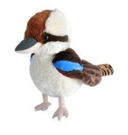 CK KOOKABURRA