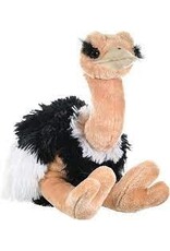 CK Ostrich