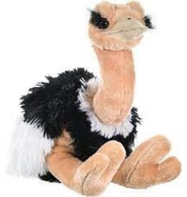 CK Ostrich