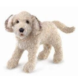 Labradoodle