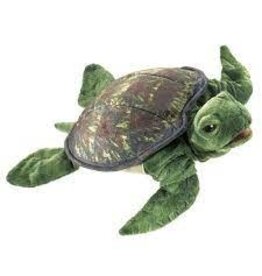 TURTLE, SEA