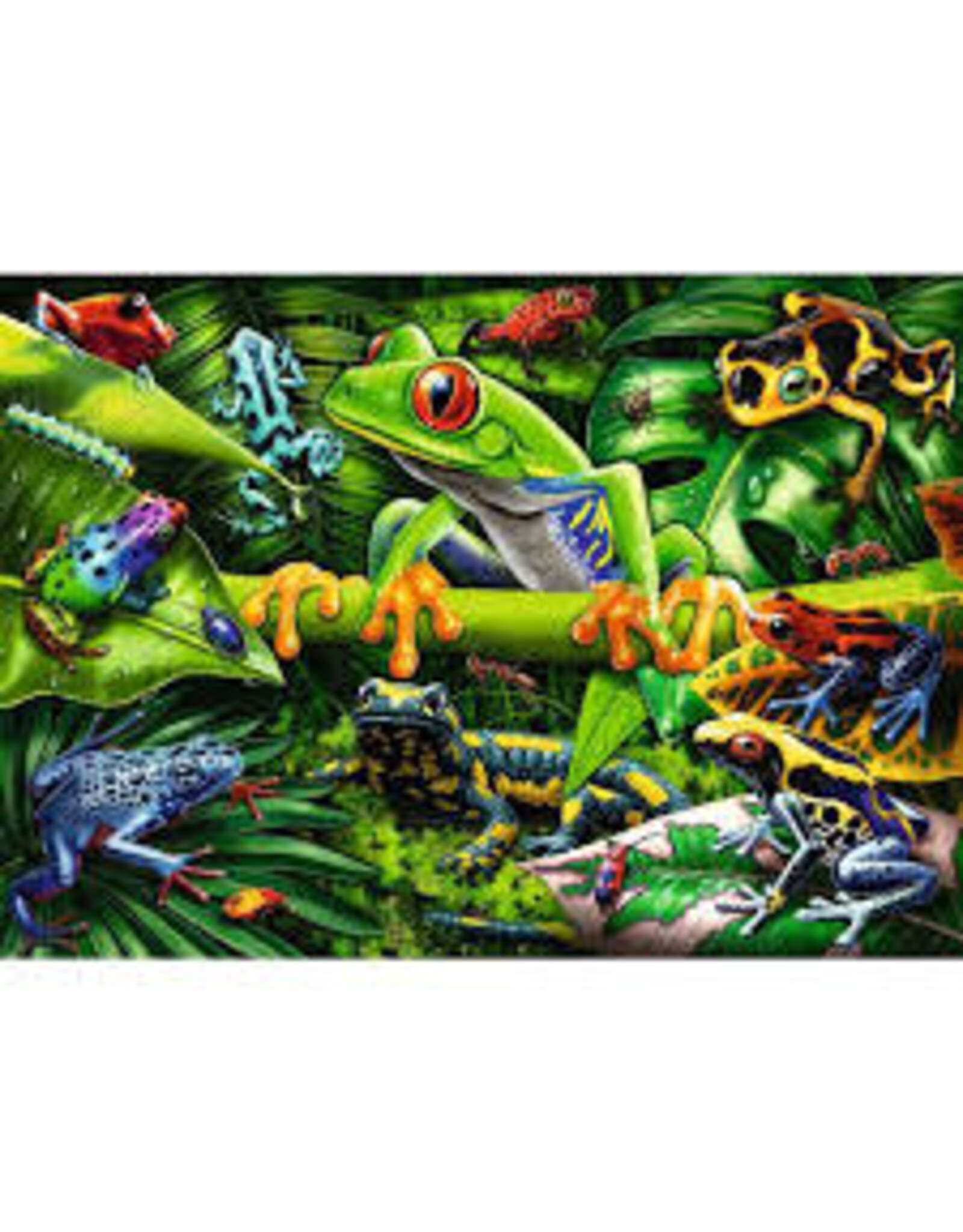 Amazing Amphibians 35 pc