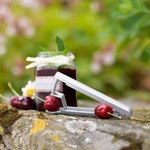 WESTMARK WESTMARK Cherry Stoner pitter