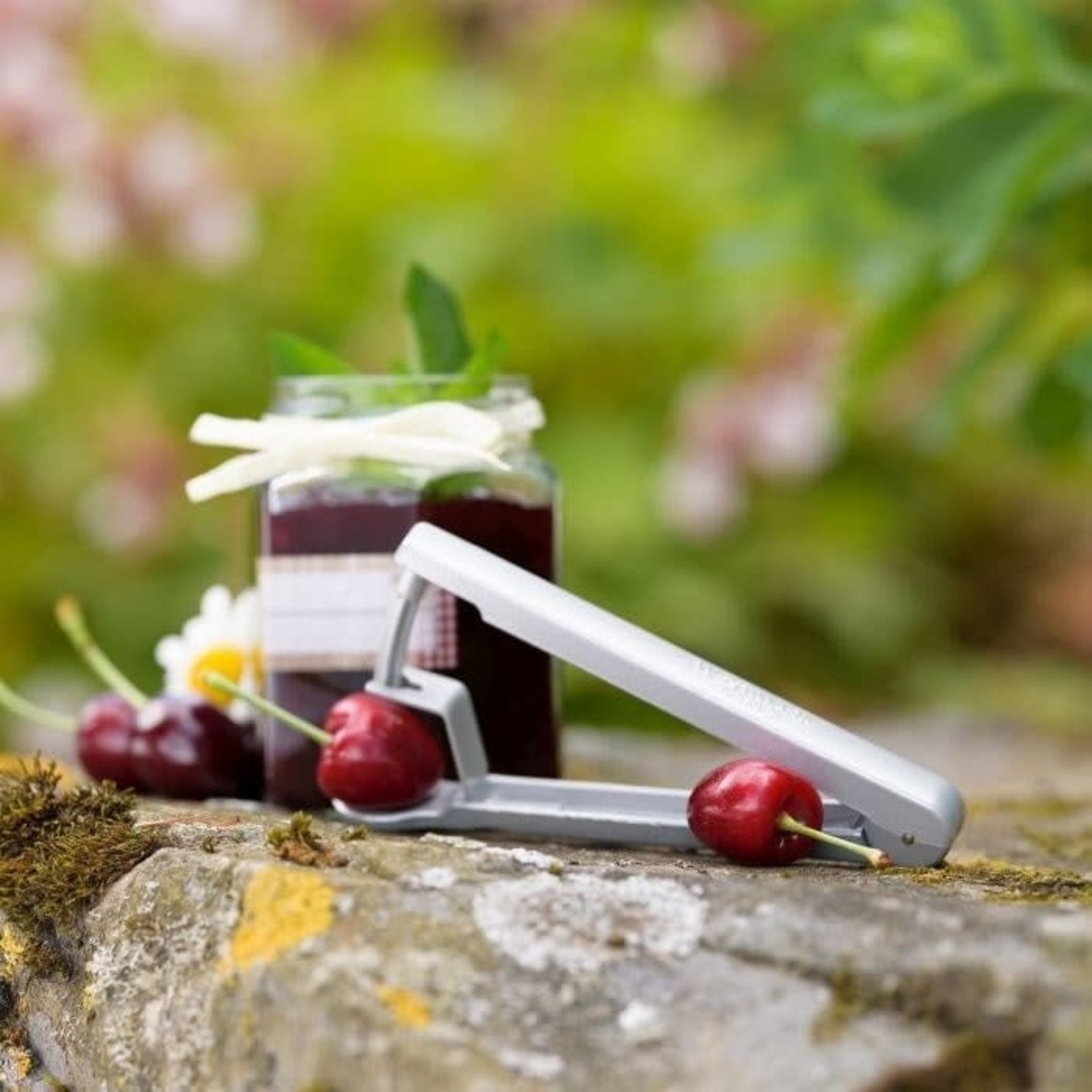 WESTMARK WESTMARK Cherry Stoner pitter