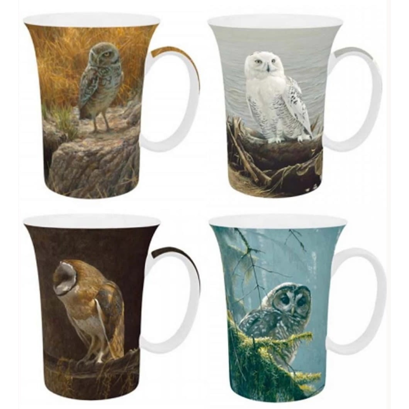 MCINTOSH MCINTOSH Robert Bateman Owls Mugs S/4