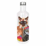 PAPER PRODUCTS DESIGN PPD Water Bottle - Groovy Cats