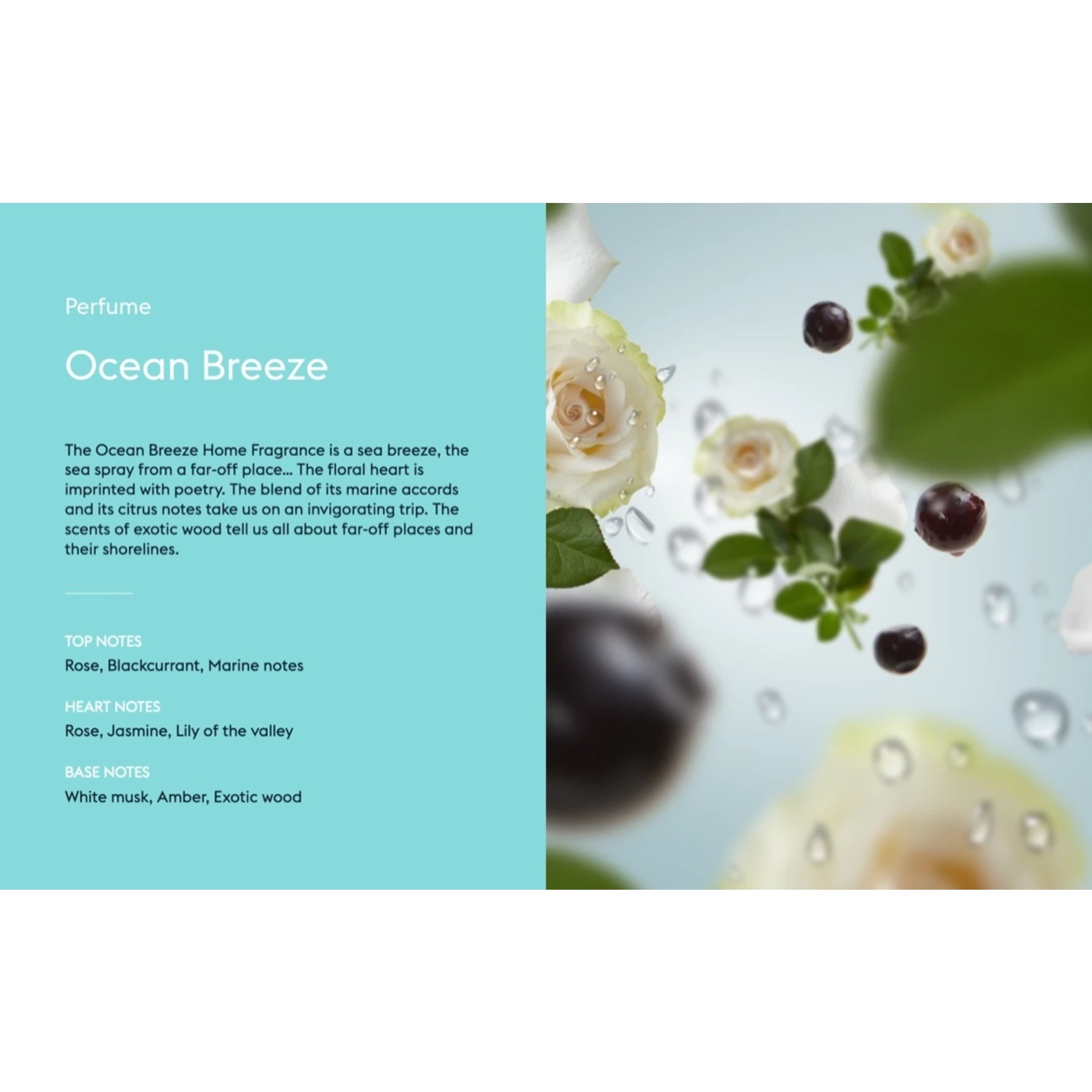 MAISON BERGER MAISON BERGER Fragrance 500ml - Ocean Breeze