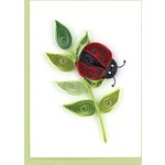 QCARD QCARD Gift Enc Ladybug