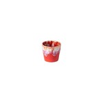 CASAFINA COSTANOVA Grespresso Espresso Cup - Red