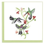 QCARD QCARD Hummingbird Trio