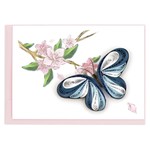 QCARD QCARD Gift Enc Blue Butterfly