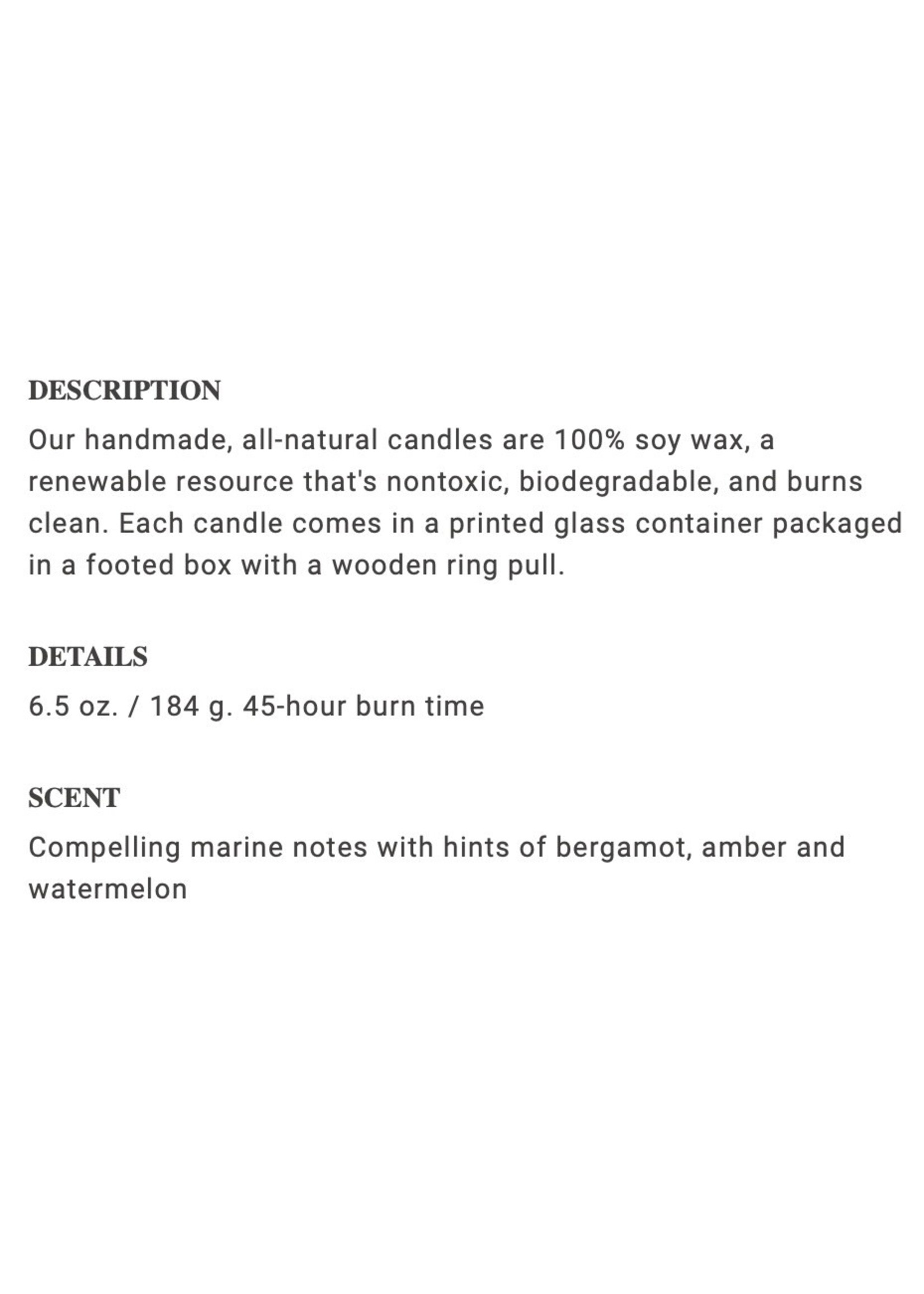 MICHEL DESIGN WORKS MICHEL DESIGN Soy Wax Candle 6.5oz