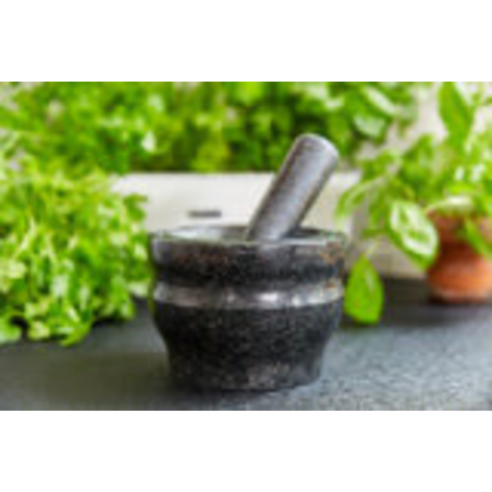COLE & MASON COLE & MASON  Large Mortar & Pestle - Granite