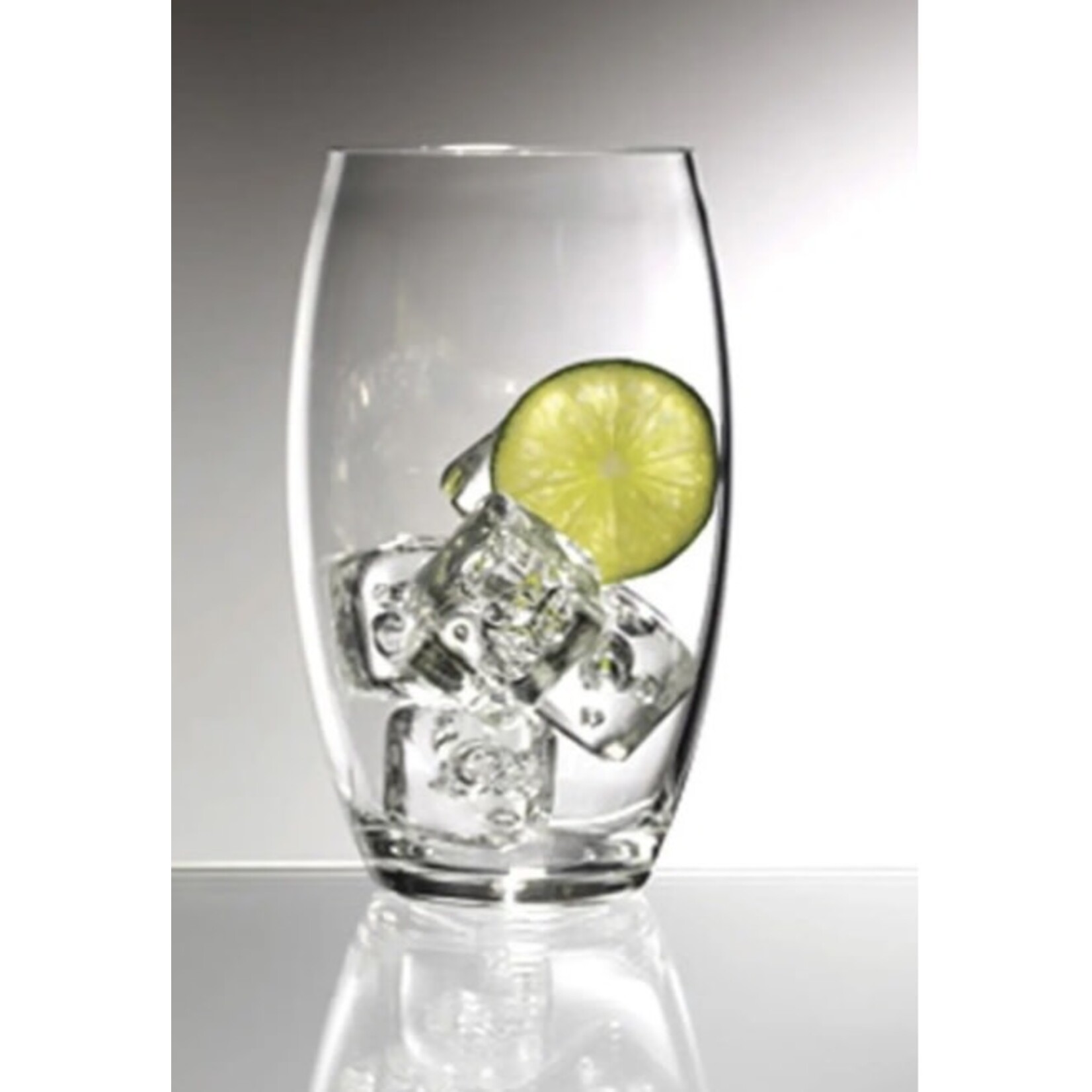 FOX RUN FOX RUN Lux Acrylic High Ball Tumbler - 16oz