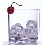 FOX RUN FOX RUN Prima Acrylic Tumbler - 14oz