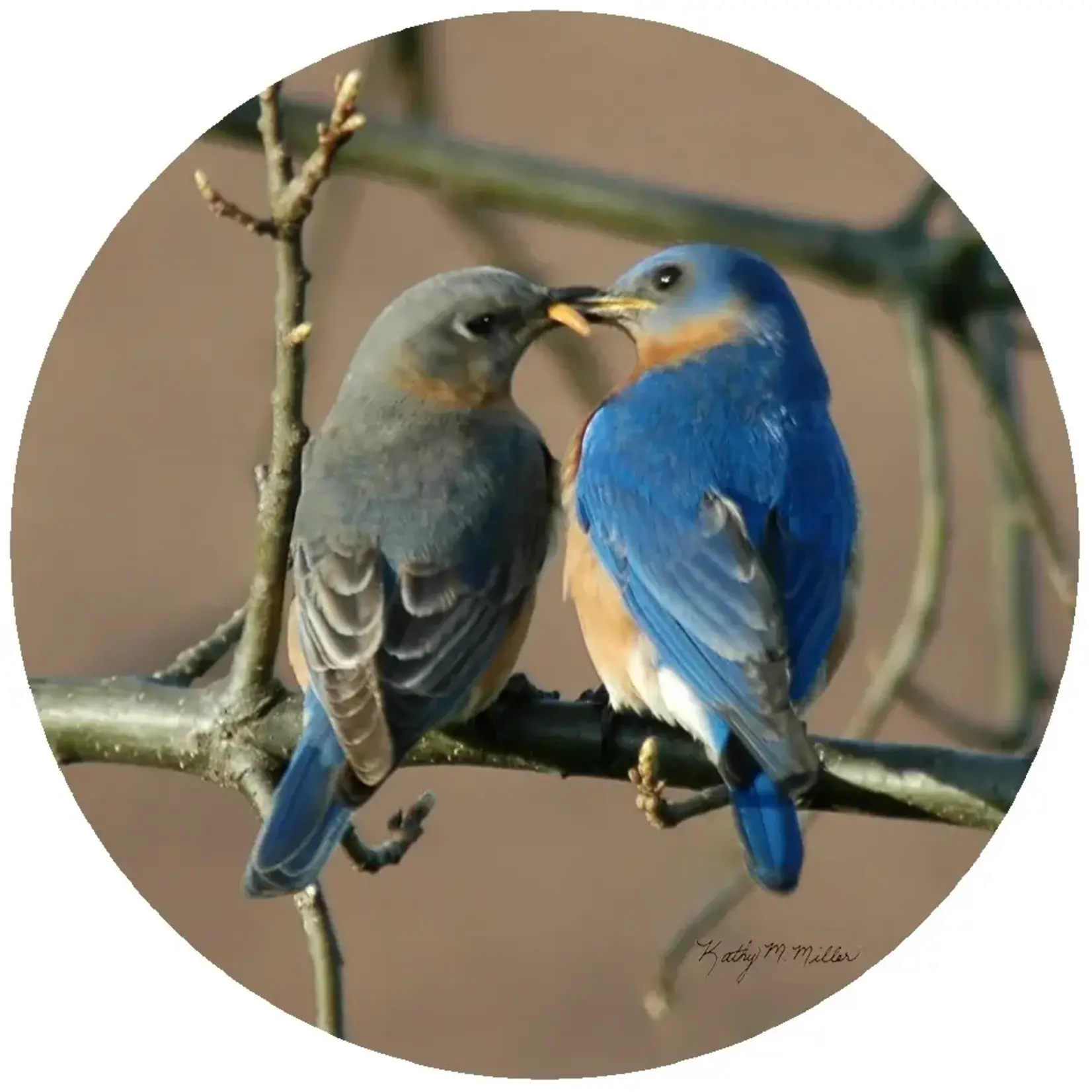 ANDREAS ANDREAS  Jar Opener Bluebird Couple