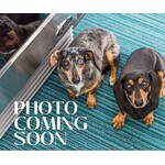 FEZ GLASS Hi Ball Silver Leaf DNR