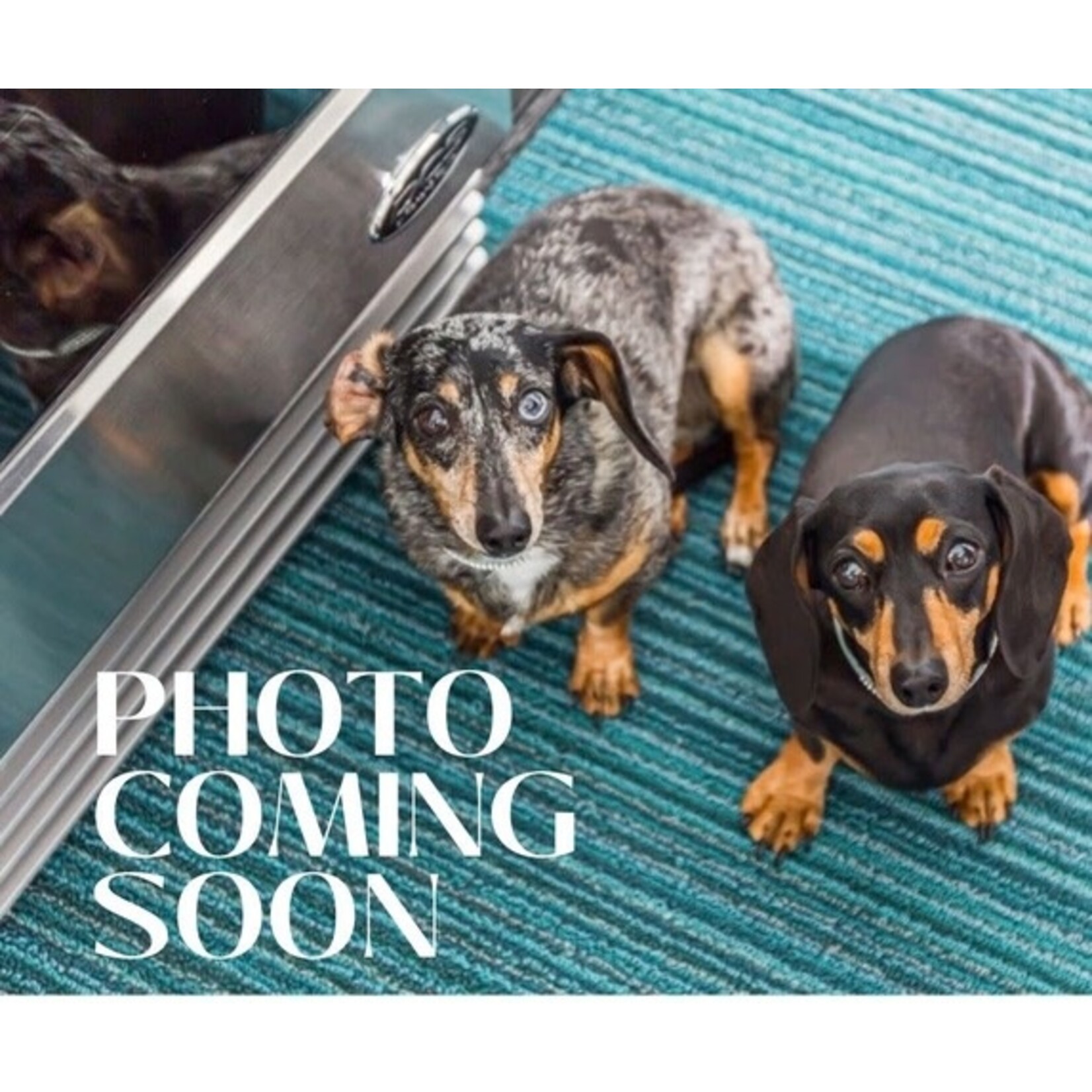 ADAMO ADAMO 2 Tbsp S/S Coffee Scoop