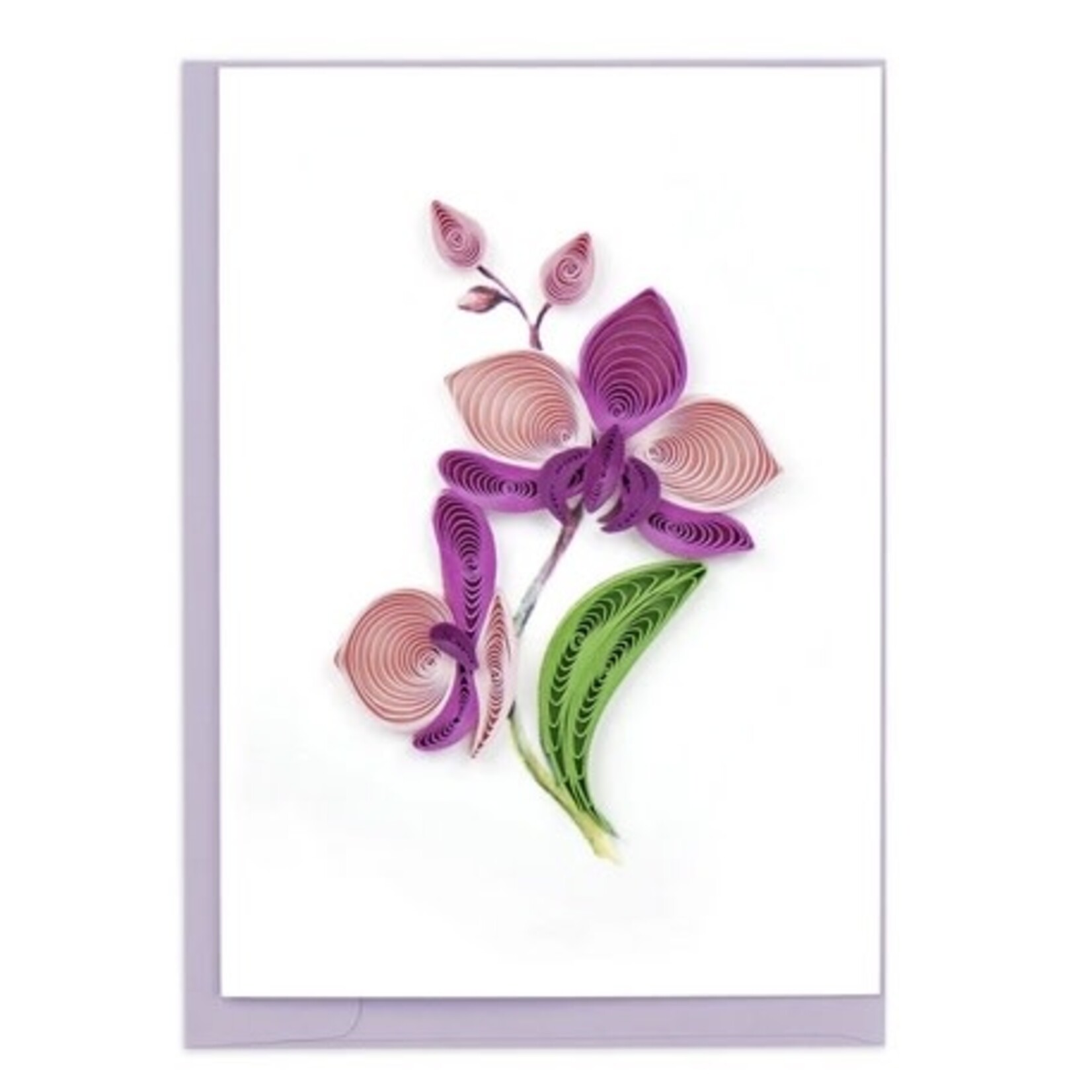 QCARD QCARD Gift Enclosure Orchid Flower
