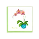 QCARD QCARD Thank You Potted Orchid