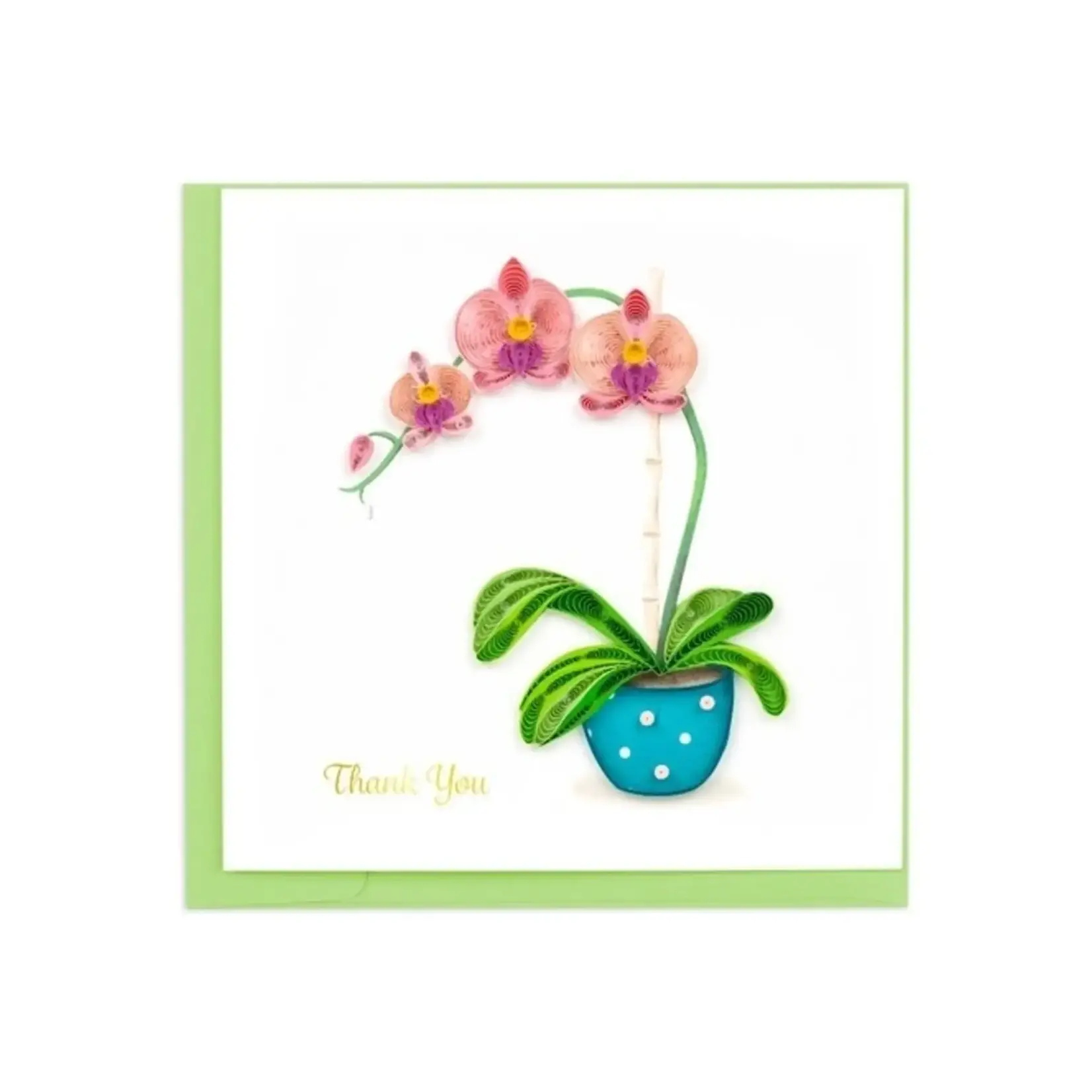 QCARD QCARD Thank You Potted Orchid