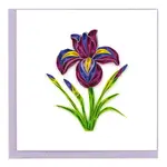 QCARD QCARD Iris Flower