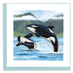 QCARD QCARD Orca Whales
