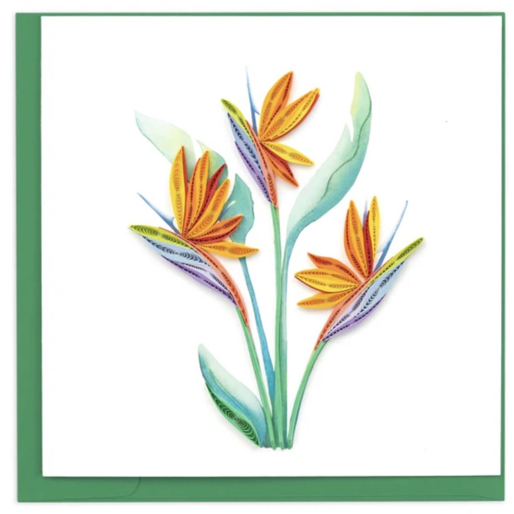 QCARD QCARD Bird of Paradise