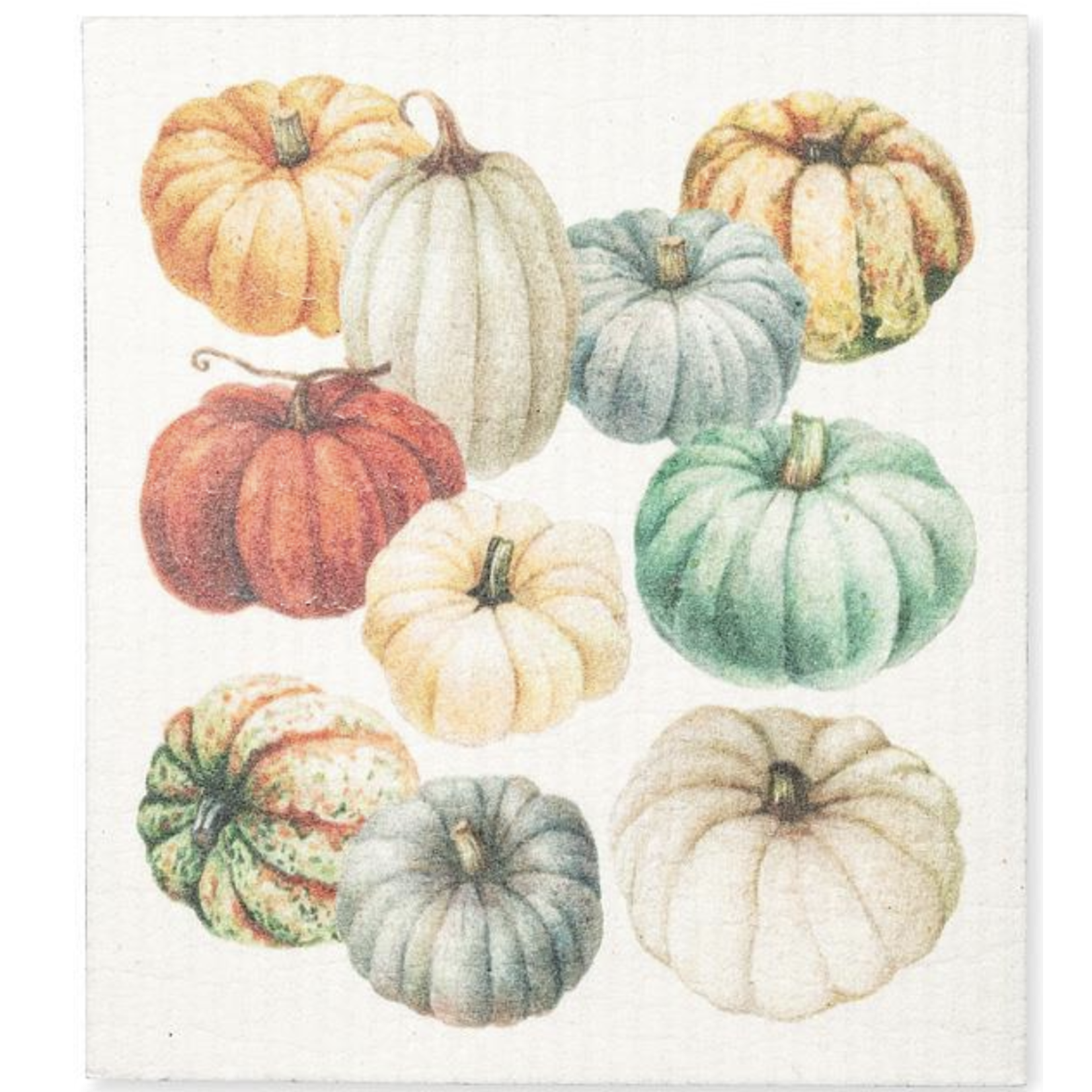 ABBOTT ABBOTT Colorful Pumpkins Dishcloth