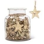 ABBOTT ABBOTT Simple Star Ornament in Jar 40 pc - Gold 3"H