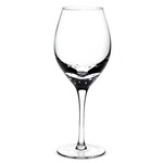 ABBOTT ABBOTT Sham Red Wine Glass w/Bubble