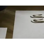 CHILEWICH CHILEWICH Solid Shag Utility Mat 24x36 - Super White