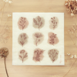 ECO BEIGE ECO BEIGE Brown Botanical Sponge Cloth