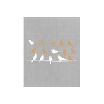 WET-IT WET-IT Swedish Cloth - Paloma Blanca